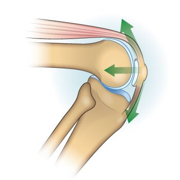무릎 관절을 구부렸다 폈을 때 슬개골과 힘줄 인대 대퇴골 경골이 상호작용하면서 움직이는 그림